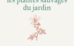 CUISINER LES PLANTES SAUVAGES DU JARDIN